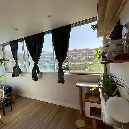 Apartamento Joli Duplex De 75m2 à 10mn à Pieds De La Le Lavandou